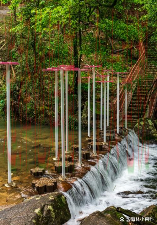 博雅游戏最佳去处在哪玩