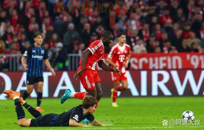 拜仁连续取胜成为今日焦点 拜仁连续取胜成为今日焦点